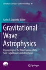 Gravitational Wave Astrophysics : Proceedings of the Third Session of the Sant Cugat Forum on Astrophysics - Book