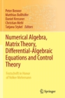 Numerical Algebra, Matrix Theory, Differential-Algebraic Equations and Control Theory : Festschrift in Honor of Volker Mehrmann - Book