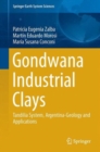 Gondwana Industrial Clays : Tandilia System, Argentina-Geology and Applications - Book