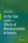 At the Size Limit - Effects of Miniaturization in Insects - eBook