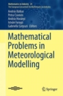 Mathematical Problems in Meteorological Modelling - Book