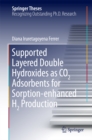 Supported Layered Double Hydroxides as CO2 Adsorbents for Sorption-enhanced H2 Production - eBook