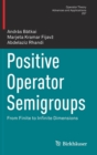 Positive Operator Semigroups : From Finite to Infinite Dimensions - Book