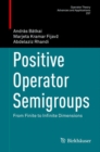 Positive Operator Semigroups : From Finite to Infinite Dimensions - eBook