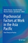 Psychosocial Factors at Work in the Asia Pacific : From Theory to Practice - eBook