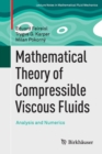 Mathematical Theory of Compressible Viscous Fluids : Analysis and Numerics - Book