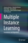 Multiple Instance Learning : Foundations and Algorithms - eBook
