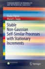 Stable Non-Gaussian Self-Similar Processes with Stationary Increments - Book