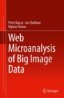 Web Microanalysis of Big Image Data - Book
