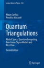 Quantum Triangulations : Moduli Space, Quantum Computing, Non-Linear Sigma Models and Ricci Flow - Book