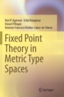 Fixed Point Theory in Metric Type Spaces - Book