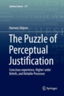 The Puzzle of Perceptual Justification : Conscious experience, Higher-order Beliefs, and Reliable Processes - Book