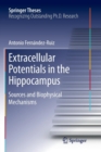 Extracellular Potentials in the Hippocampus : Sources and Biophysical Mechanisms - Book