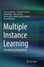 Multiple Instance Learning : Foundations and Algorithms - Book