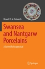 Swansea and Nantgarw Porcelains : A Scientific Reappraisal - Book