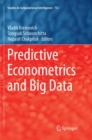 Predictive Econometrics and Big Data - Book