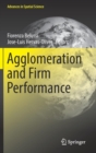 Agglomeration and Firm Performance - Book