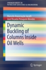 Dynamic Buckling of Columns Inside Oil Wells - Book