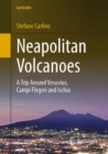 Neapolitan Volcanoes : A Trip Around Vesuvius, Campi Flegrei and Ischia - Book