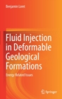 Fluid Injection in Deformable Geological Formations : Energy Related Issues - Book