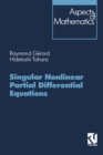 Singular Nonlinear Partial Differential Equations - eBook