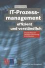 IT-Prozessmanagement Effizient und Verstandlich - Book