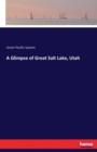 A Glimpse of Great Salt Lake, Utah - Book