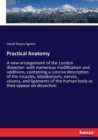 Practical Anatomy : A new arrangement of the London dissector: with numerous modification and additions, containing a concise description of the muscles, bloodvessels, nerves, viscera, and ligaments o - Book