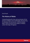 The History of Wales : Comprehending the lives and succession of the princes of Wales, from Cadwalader the last king, to Lhewelyn the last prince, of British blood. With a short account of the affairs - Book