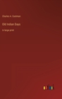 Old Indian Days : in large print - Book