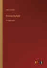 Burning Daylight : in large print - Book