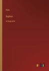 Sophist : in large print - Book