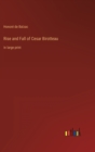 Rise and Fall of Cesar Birotteau : in large print - Book