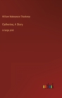 Catherine; A Story : in large print - Book