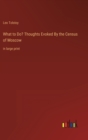 What to Do? Thoughts Evoked By the Census of Moscow : in large print - Book