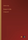 Essays in Little : in large print - Book