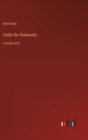 Under the Redwoods : in large print - Book