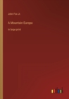A Mountain Europa : in large print - Book