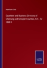 Gazetteer and Business Directory of Chemung and Schuyler Counties, N.Y., for 1868-9 - Book