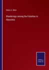 Wanderings among the Falashas in Abyssinia - Book