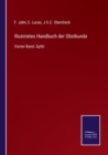 Illustrietes Handbuch der Obstkunde : Vierter Band: AEpfel - Book