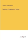 Tortoises, Terrapins, and Turtles - Book