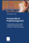 Praxishandbuch Projektmanagement - Book