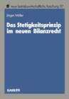 Das Stetigkeitsprinzip Im Neuen Bilanzrecht - Book