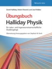 Halliday Physik fur natur- und ingenieurwissenschaftliche Studiengange : Ubungsbuch - Book