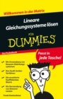 Lineare Gleichungssysteme losen fur Dummies - Book