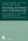 Amnesie, Amnestie Oder Aufarbeitung? : Zum Umgang Mit Autoritaren Vergangenheiten Und Menschenrechtsverletzungen - Book