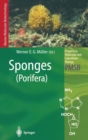 Sponges : Porifera - Book