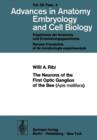 The Neurons of the First Optic Ganglion of the Bee (Apis mellifera) - Book