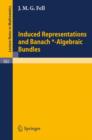Induced Representations and Banach*-Algebraic Bundles - Book